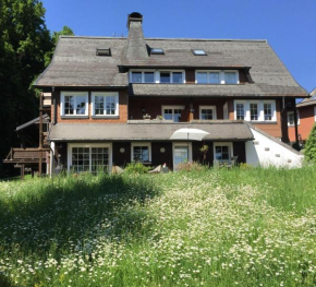 Schwarzwald Landhaus Leonore mit Alpenblick, Erdgeschosswohnung mit großer Gartenterrasse und Parkplatz